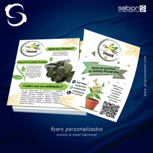 flyers entregados